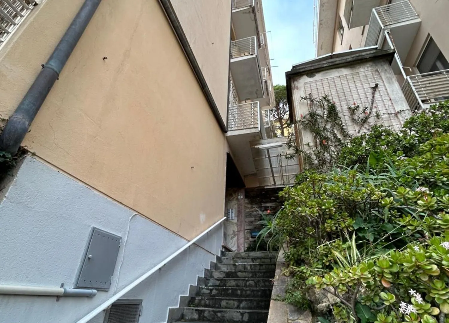 Apartment Seaview Escape By Portofinovacanze Rapallo